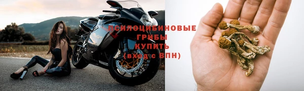ALPHA PVP Кулебаки
