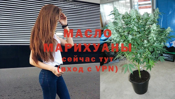 мдпв Ладушкин